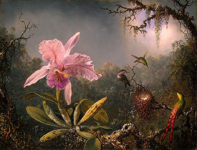 Martin Johnson Heade Cattleya Orchid and Three Brazilian Hummingbirds France oil painting art